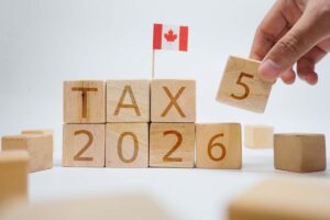 The Indispensable Role of Professional Tax Services for Accurate Returns